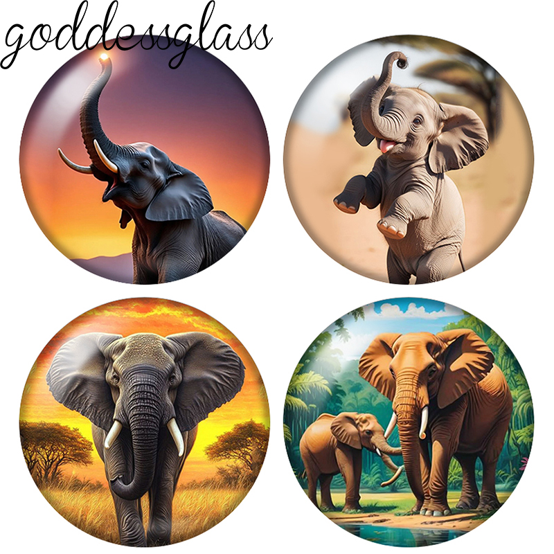 Body Jewelry Top - Cabochon in vetro rotondo con elefante,