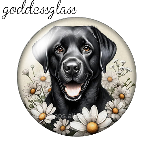 ‌ Cagnolini tra i fiori, pasto - Body Jewelry Top recensione e prezzo